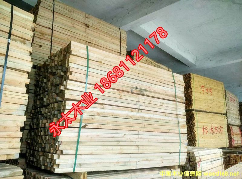 ��ľɳ�l��