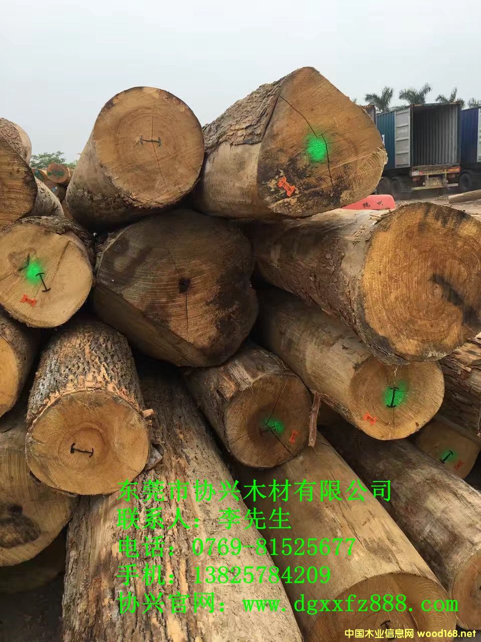 ��Ϟľ�S��