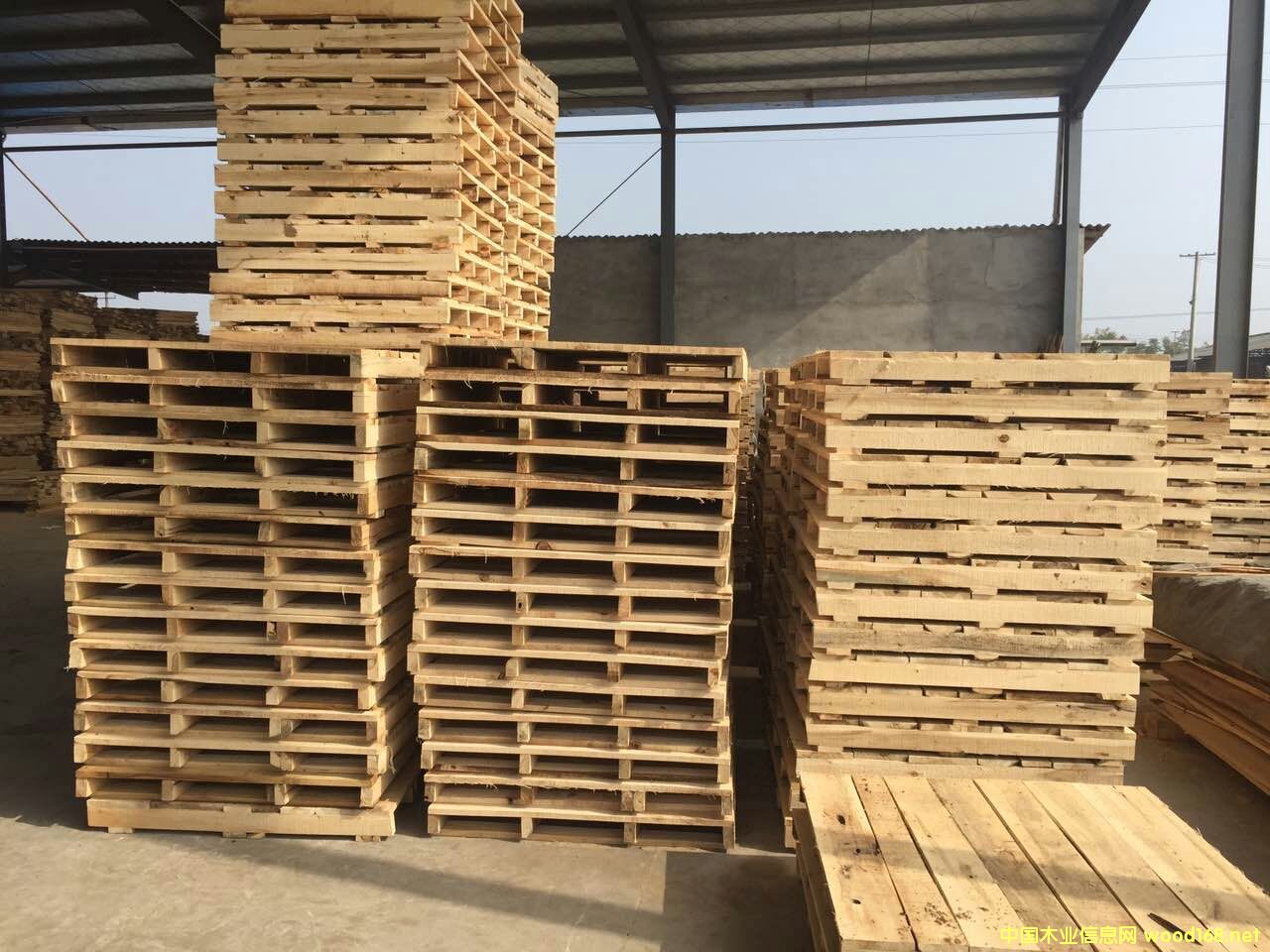 ��(sh��)ľ�бP��ľ���塢��܇��ľ���塢�}�����D(zhu��n)�������l(f��)