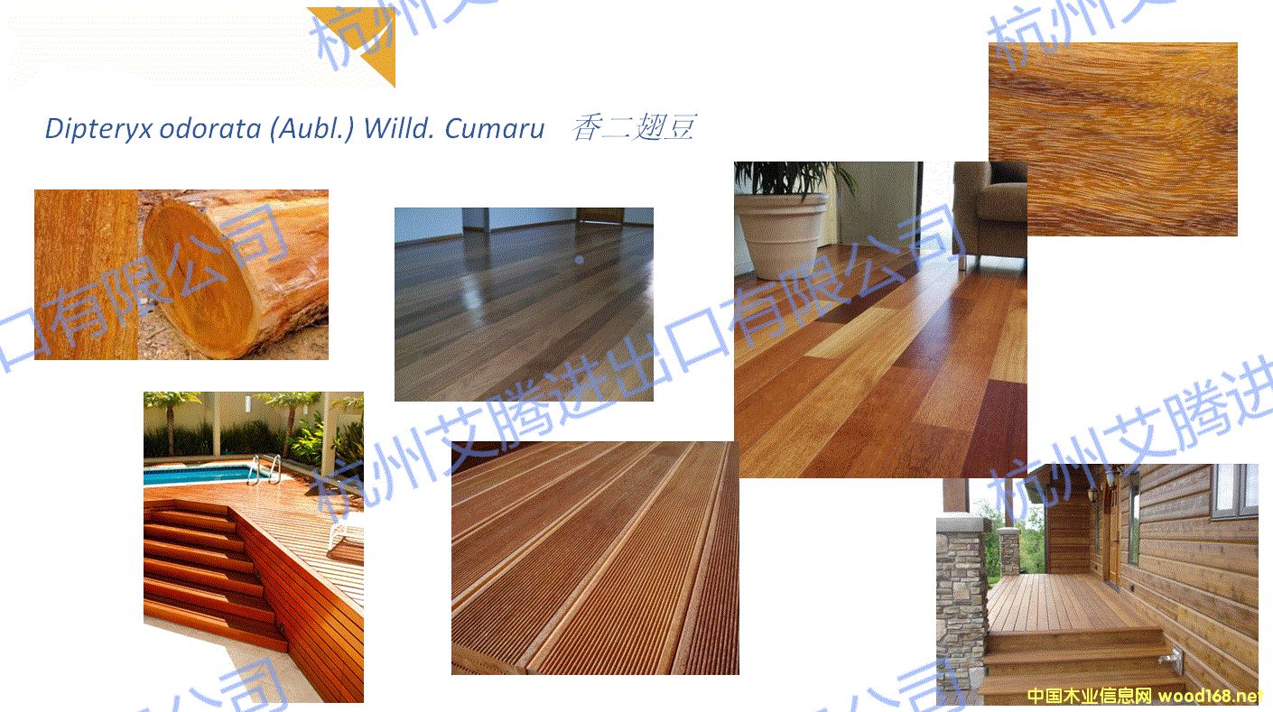 ����ᶹ��Ԕ��(x��)��B