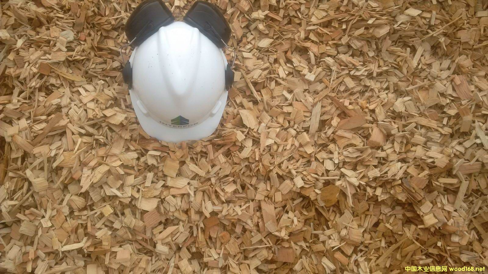 [��] �M�������Ϸ���ľƬ