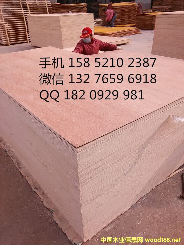 18mm�����z�ϰ� ���B��