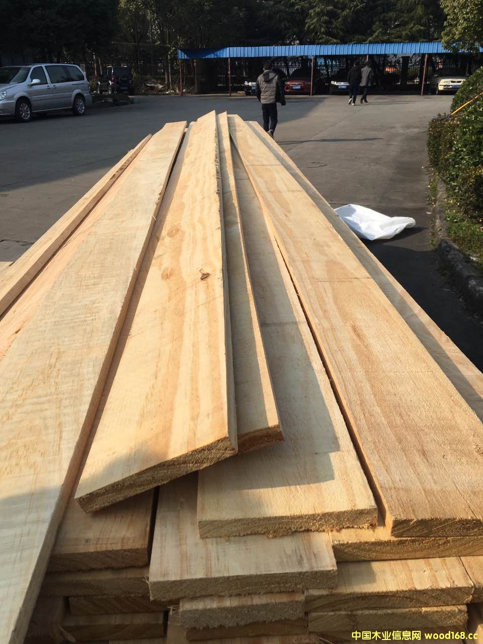 �����mݗ���������ɟo���ĵ�Ԕ����B