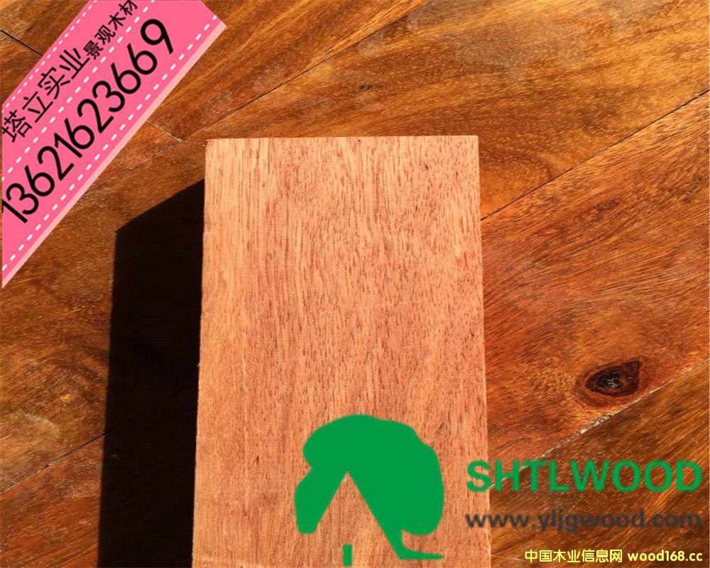 �c���鿴��ľ�������������ľ�Ŵ�DƬ