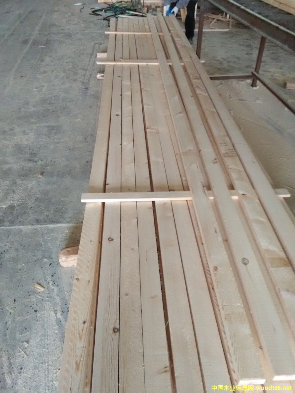 ���^�n�ӗl��Ԕ����B