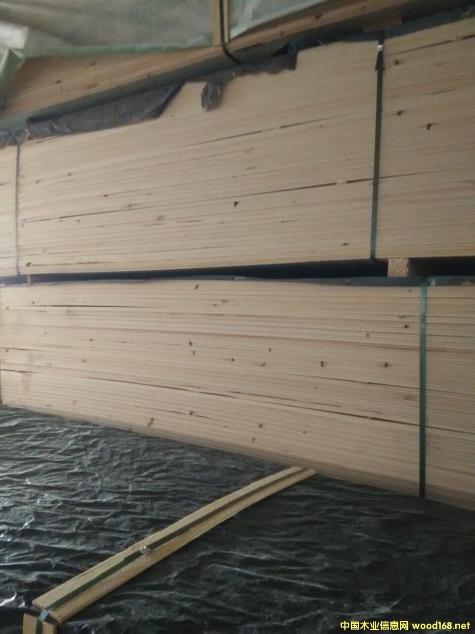 ��ľ����l��Ԕ����B