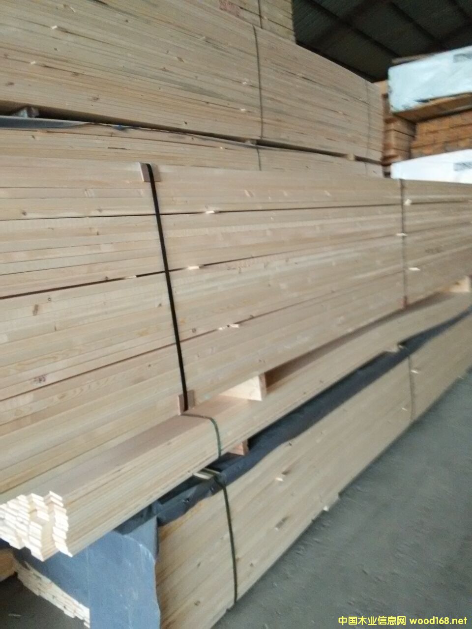 ���^�n�ӗl��Ԕ����B