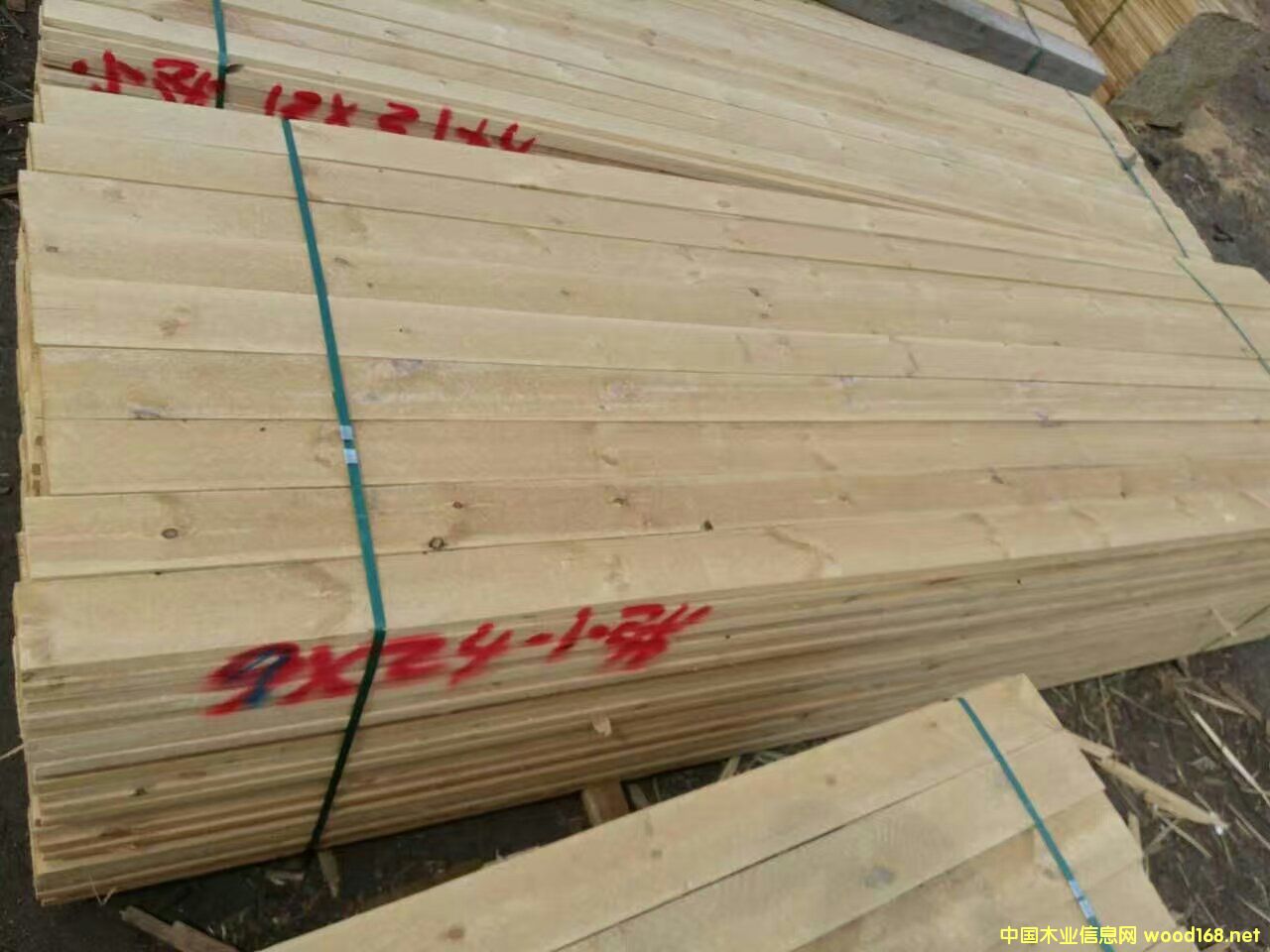 �����ɸɰ�