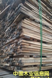 ��ľë�壨���^��