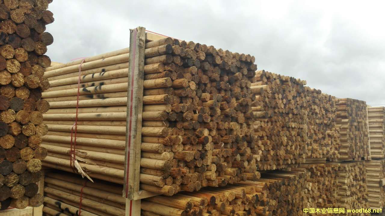 ���~��ľ�U