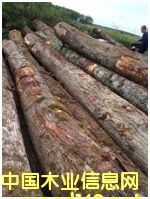 �t��2016-2��Ԕ��(x��)��B