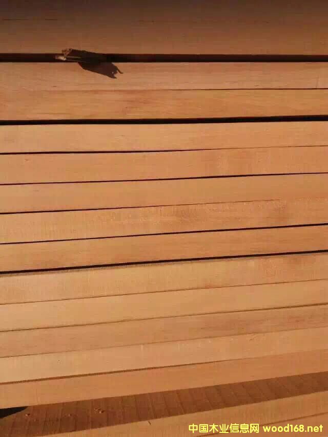 ��ľ�R߅�ĵ�Ԕ��(x��)��B