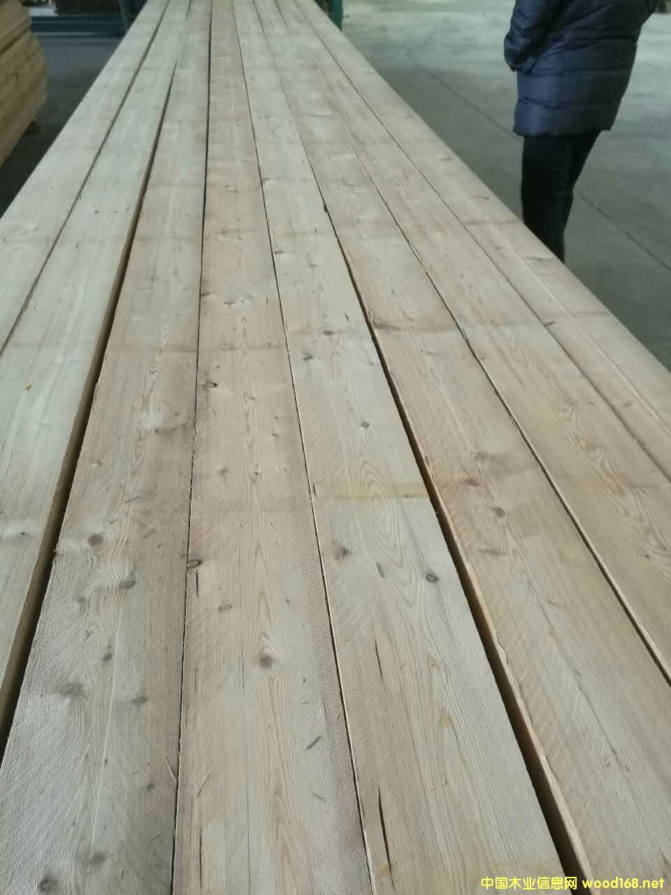 ���~�ɰ��