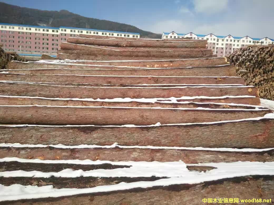 ���~��ԭľ��Ԕ����B