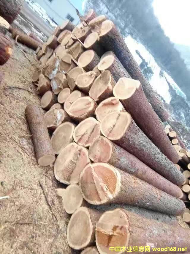 ���~��ԭľ���a