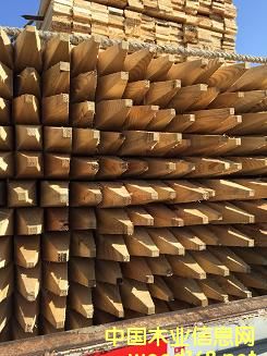 ���_˹�M�����~������Ҏ��