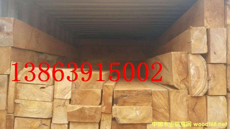 ����ľ��ľ���