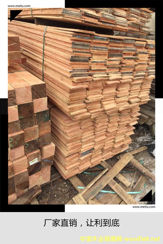 �����ɱ���