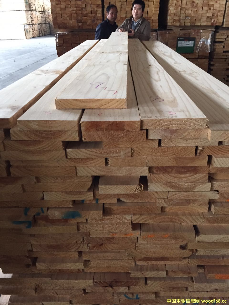 ݗ���Ɇ��湝