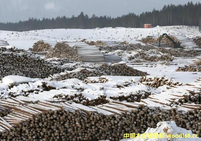 ���_˹����˹�Z����˹��߅���^(q��)ԭľ�ѷŅ^(q��)