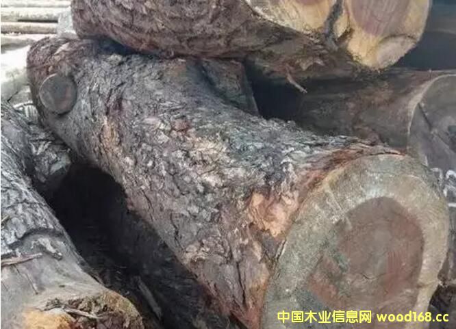 �tľ����òģ��ɘ���ľ���t�F����Ԕ��