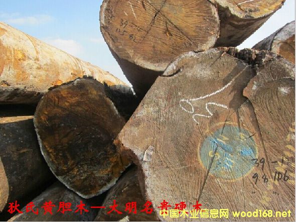 ľ�Ę�NԔ��--�����Sđľ  �׷Q: �͵�ľ���Ӽ{��̴