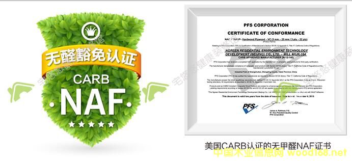 �����߶˘˜�֮---�oȩ���Ӱ�ģ�NAF���Ķ��x 