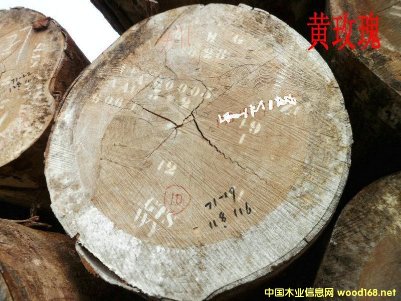 ���޲ģ��Sõ��ľ