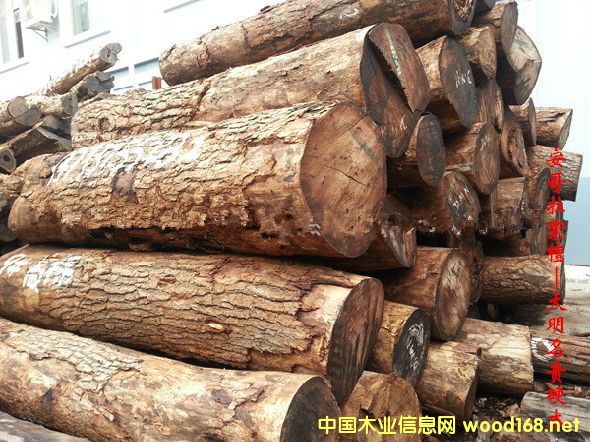 木材樹種詳解--安哥拉紫檀 俗稱:高棉花梨、高棉紅