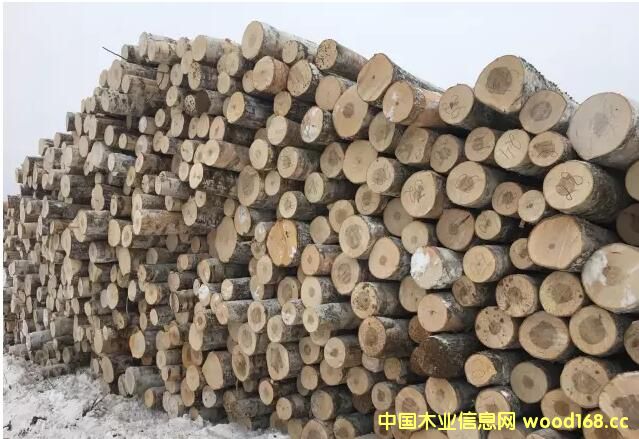 ���_˹��ľ��ֹ���ڣ��Ї�(gu��)��ľ�ӹ��ИI(y��)����ȥ�Ώģ�