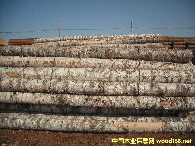 �Ϻ�ľ���Q����-��ľԭľ