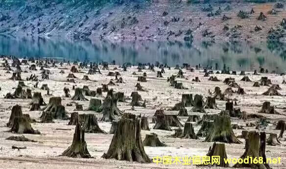 ���������[�[�Ĵ������黨�����