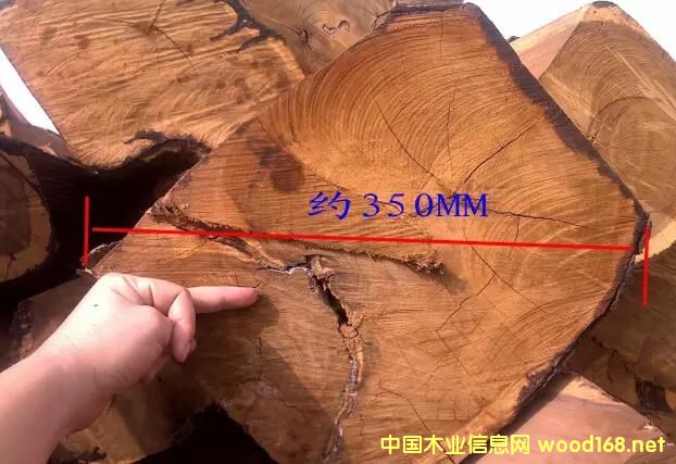 �����̴��ð��ɼ���ľ����������ӏ��O�ܽ�ֹ����