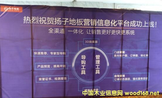 �P�ӵذ���������N������A�M���_