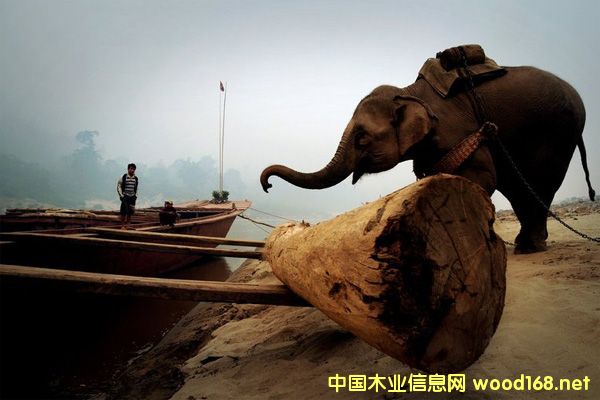 �|�ρ��tľ�M���y�ȶ�����һ���y����Ɲq�Ҿ�����