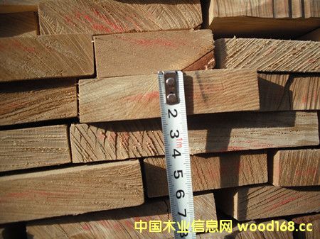 ���_˹�R���ߵ� �ж��æ�ڰ�����M�ڴ�����L