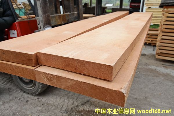 �_�R�၆ľ�����a���ӚW��ǰ��