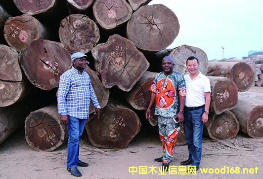 ����׃�(n��i)���֘I(y��)����λ���L�W�R�f����H���^����