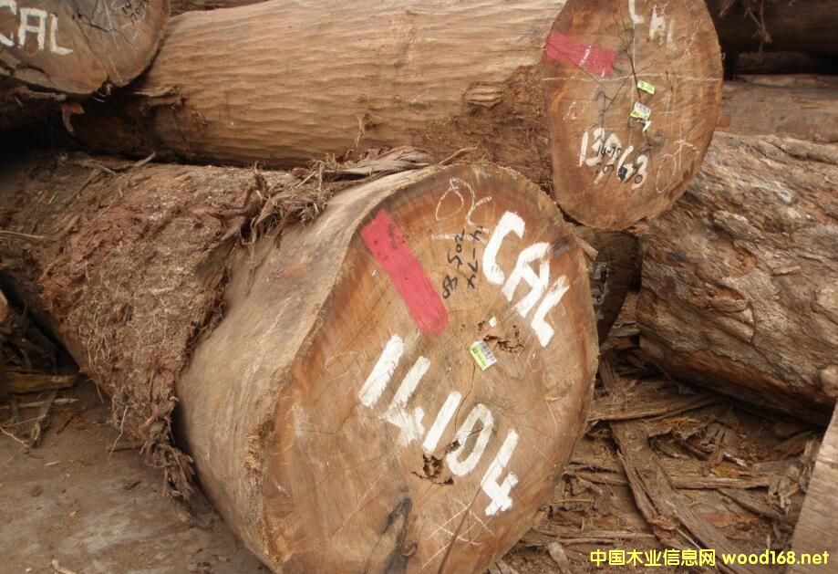 ���_�Tľ��-���ǹ���CAL��CL�� ԭľ