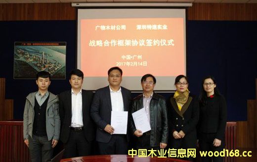 �������ٌ��I(y��)�c�V��ľ���_�ɑ�(zh��n)�Ժ��� ����ľ�Įa(ch��n)�I(y��)���ٰl(f��)չ