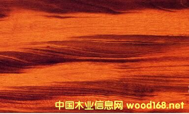 進口木材詳解:斑紋漆木