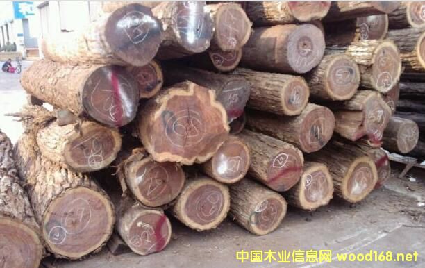 ľ���Ј�����^�죺�׃������������֦���r����������ʷ��������