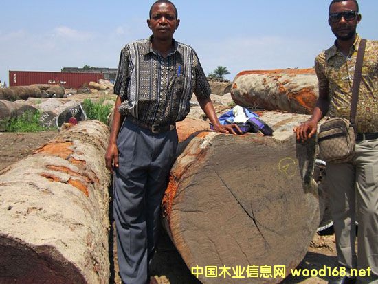 С�ͻ�-���Ҹ��н���(zh��n)�ۅ^(q��)(li��n)�\(ch��ng)ľ�Ľ�(j��ng)�I(y��ng)��