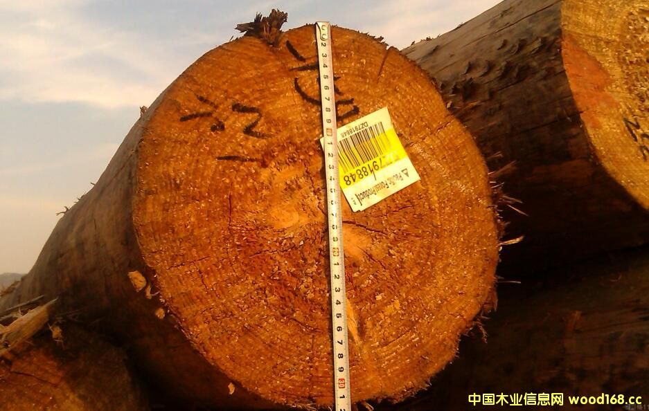 ľ���M����ע�⣺ݗ���ɵ�ԭľ���P�¾��a��ľ�Ľ���ߴ������˅^