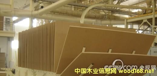 �҇��ն������Cе����I�İlչ