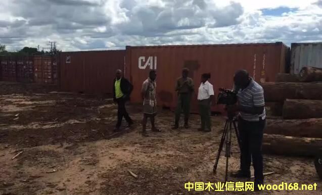 ���F��ԭľ��������̴����ֹ���ڣ����I����ϧ