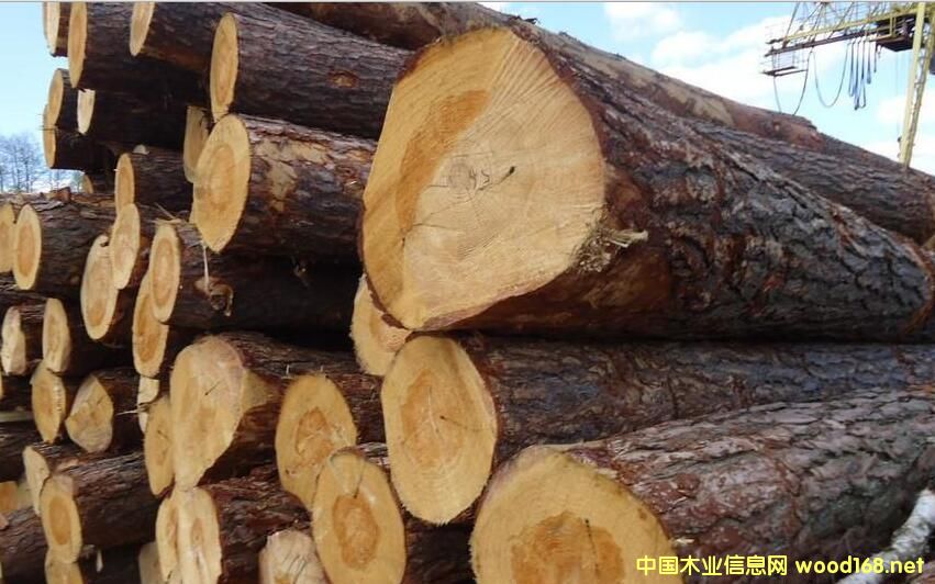 �B�T(m��n)���Q(m��o)�^(q��)�|�ɿڰ�ľ���Ԟ����m������ԭľ����