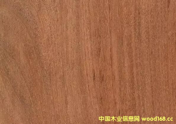 ľ�ĈD�V��Ĥ�|�~�F�����������Kľ�������F��õ��ľ