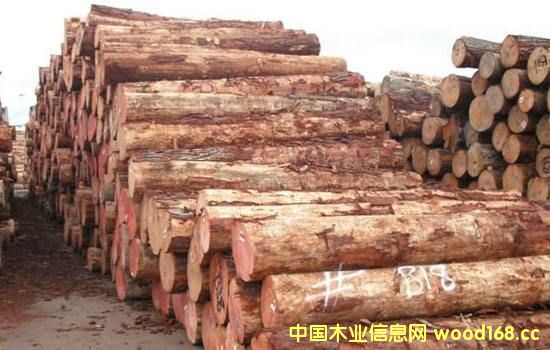 �����mݗ����ԭľ���m(x��)�q�r(ji��)������(n��i)�����Ј�����������