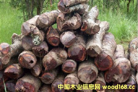 ���޲ļ������S�ݡ� ���������󣬌��ȁ���ٝ�ȁ����^��ֹԭľ��